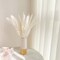 ,17 inch/45 cm Natural Dried Pampas Grass Branches Decor(White)
